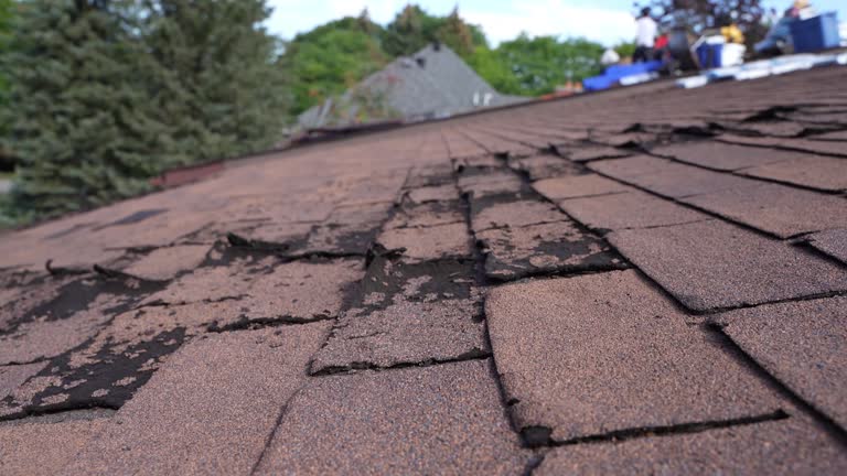 Best Steel Roofing  in Kingsland, GA
