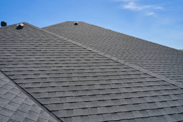 Best Roof Maintenance and Cleaning  in Kingsland, GA