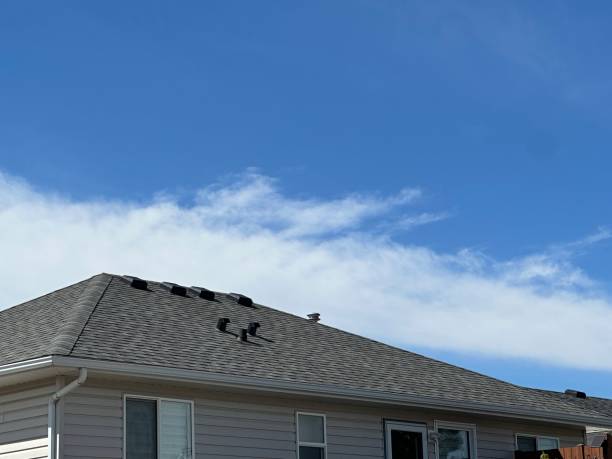 Asphalt Shingles Roofing in Kingsland, GA